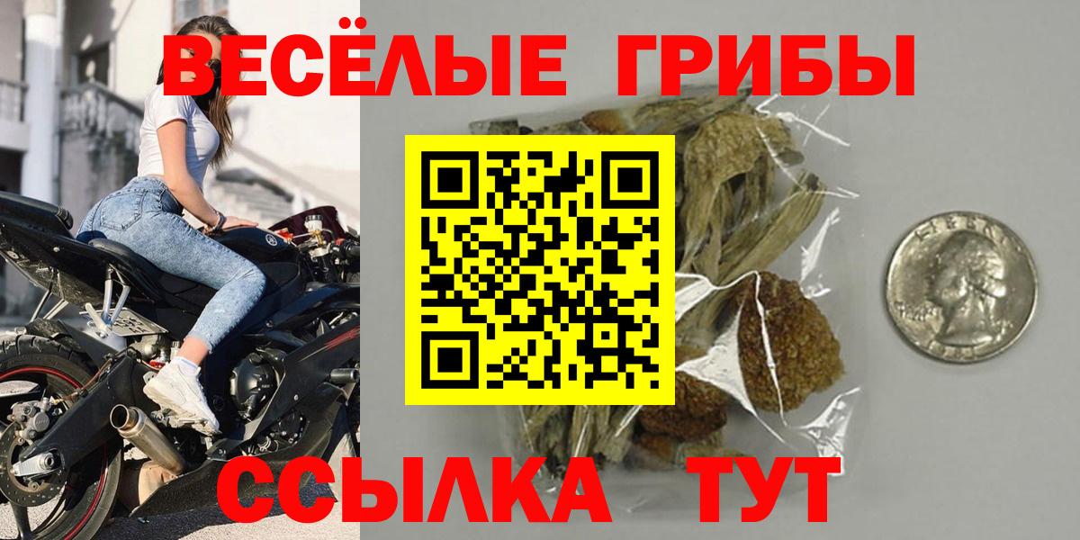 Псилоцибиновые грибы Cubensis Апатиты